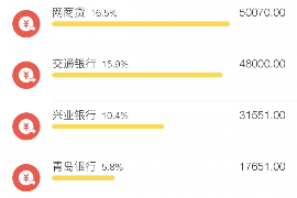 城口为什么选择专业追讨公司来处理您的债务纠纷？